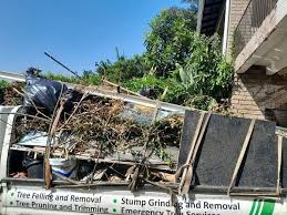 Retail Junk Removal in Diamond, IL